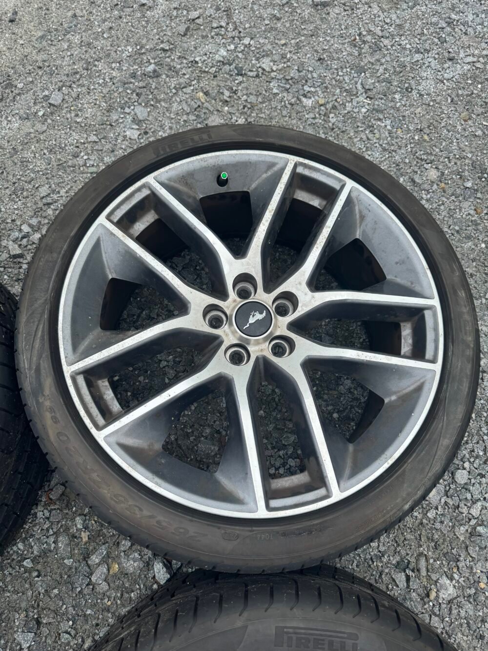Mustang Rims & Tires - Image 3