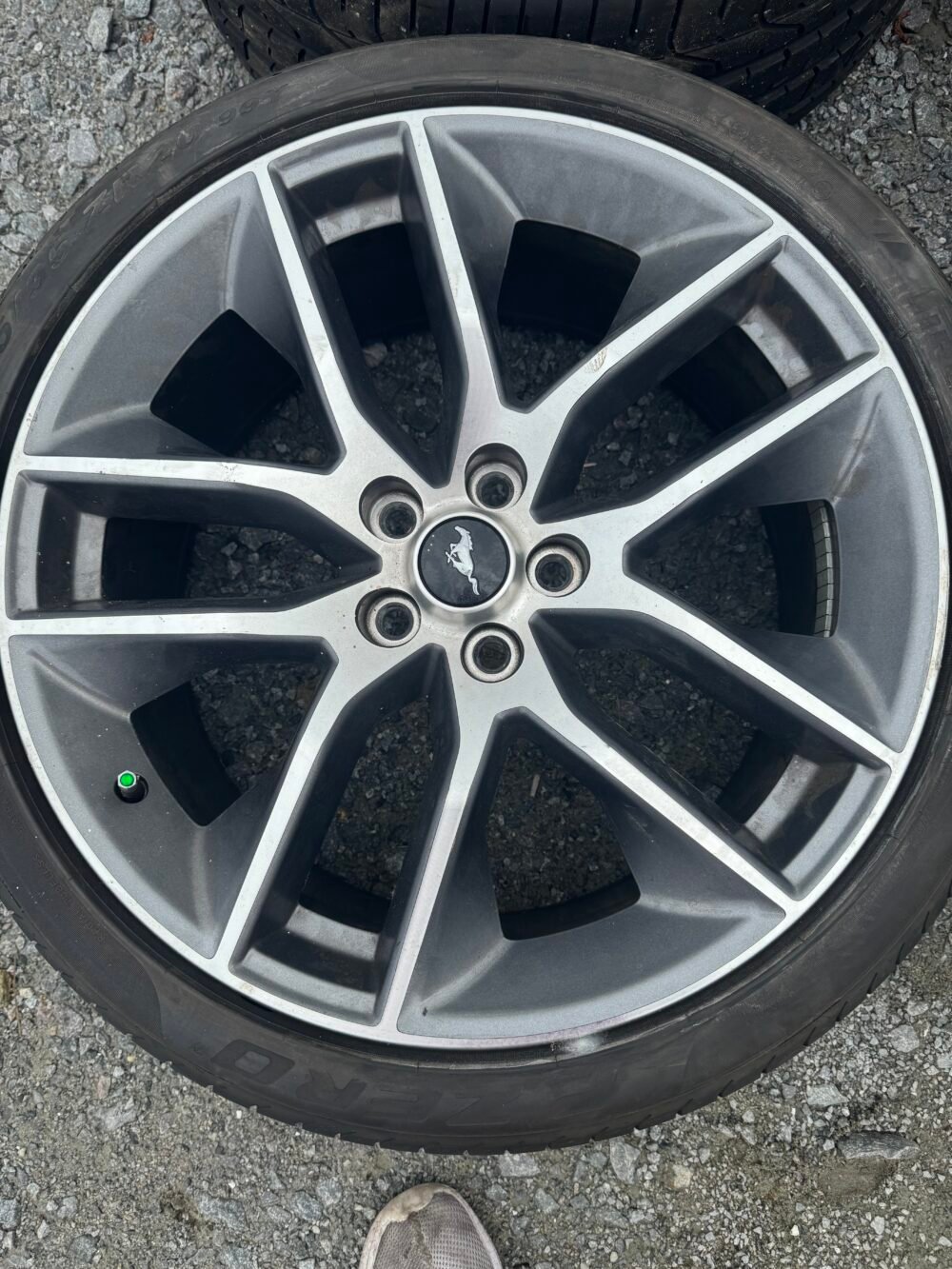 Mustang Rims & Tires - Image 5
